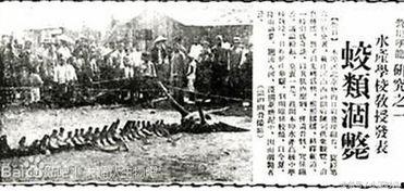 营口最新爆料事件,神秘事件引发社会热议